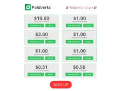 Paidverts 2025